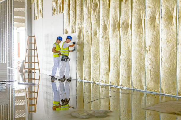 Best Spray Foam Insulation in Foreman, AR